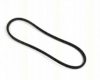TRISCAN 8640 170970 V-Belt